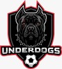 Logo underdogs